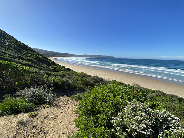 Brenton-on-Sea in the distance