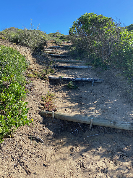 The Buffalo Bay hike