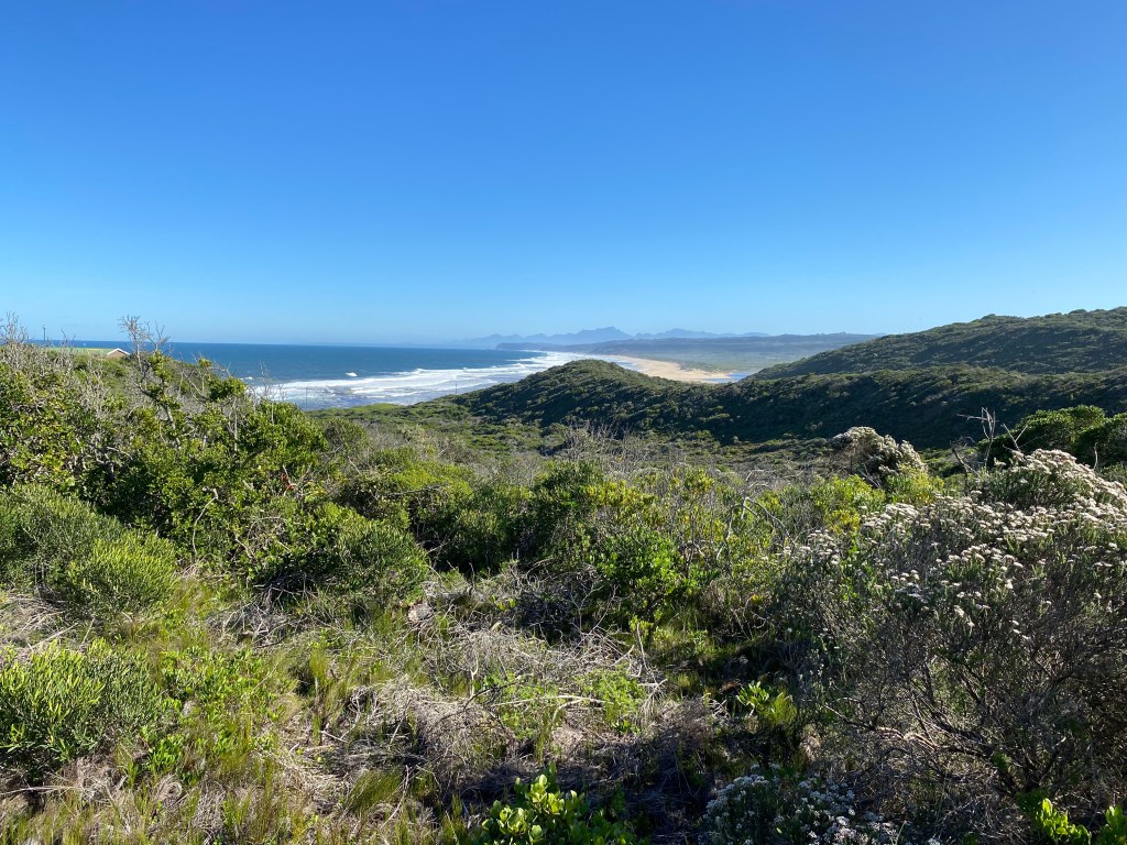 Goukamma Nature Reserve view from Buffalo Bay Trail hike