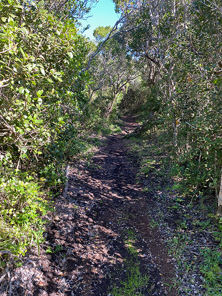 Buffelsbaai trail