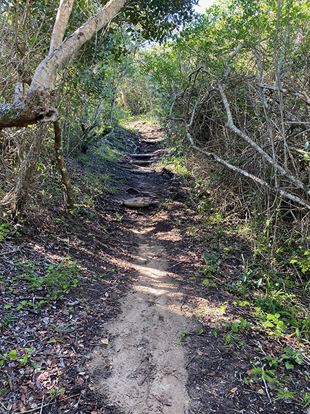 Buffalo Bay hiking trail