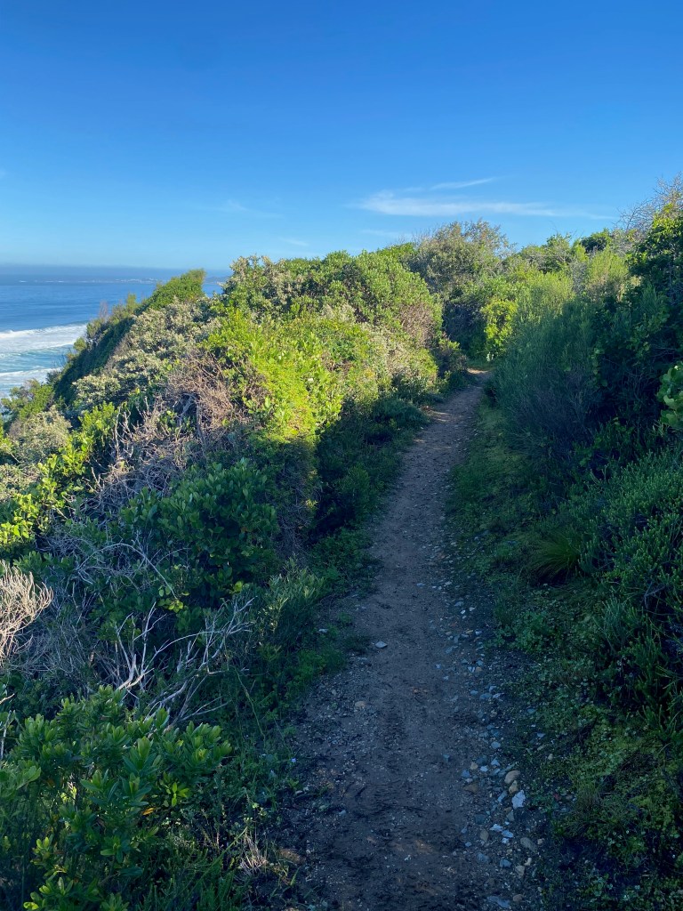 Cliff top path along the route of Fisherman's Walk hike in Brenton-on-sea