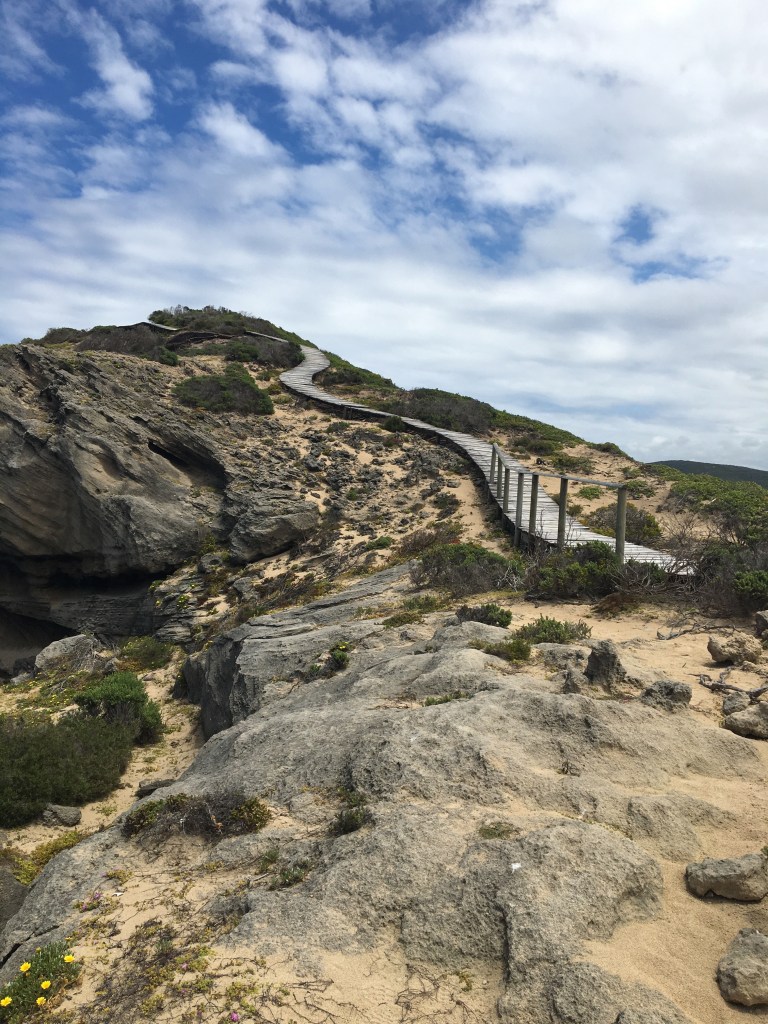 Walk the boardwalk on the island at Robberg Nature Reserve
