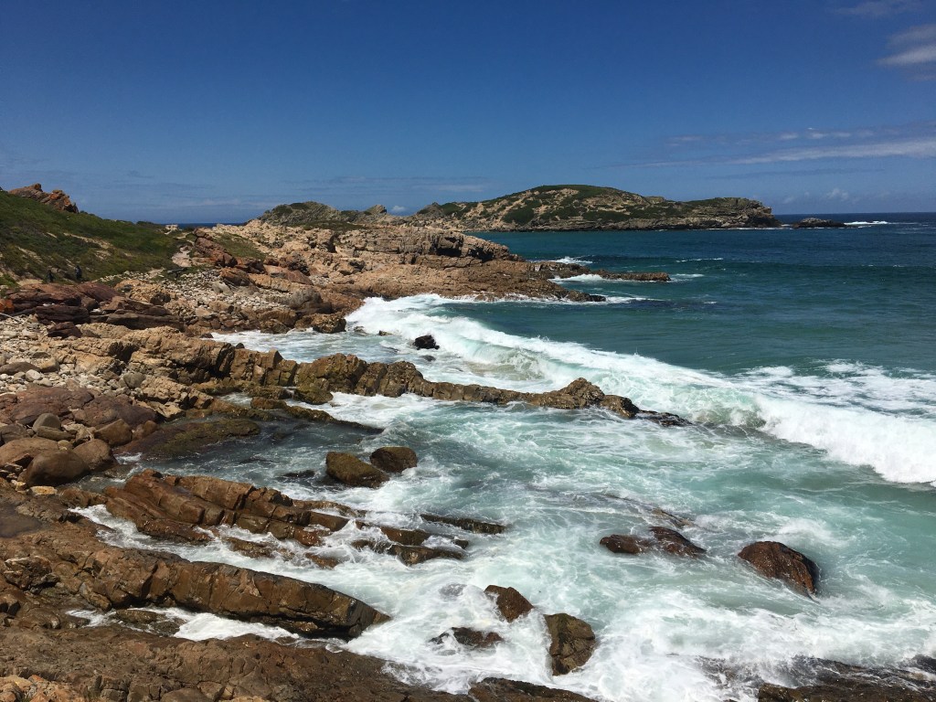 There is some rocky coastline at Robberg Nature Reserve near Plettenberg Bay
