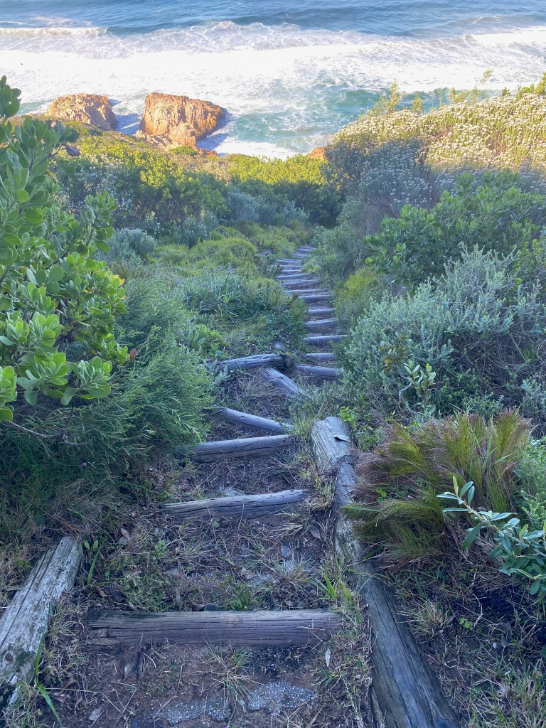 Wooden steps down to the beach on Fisherman's Walk in Brenton-on-sea
