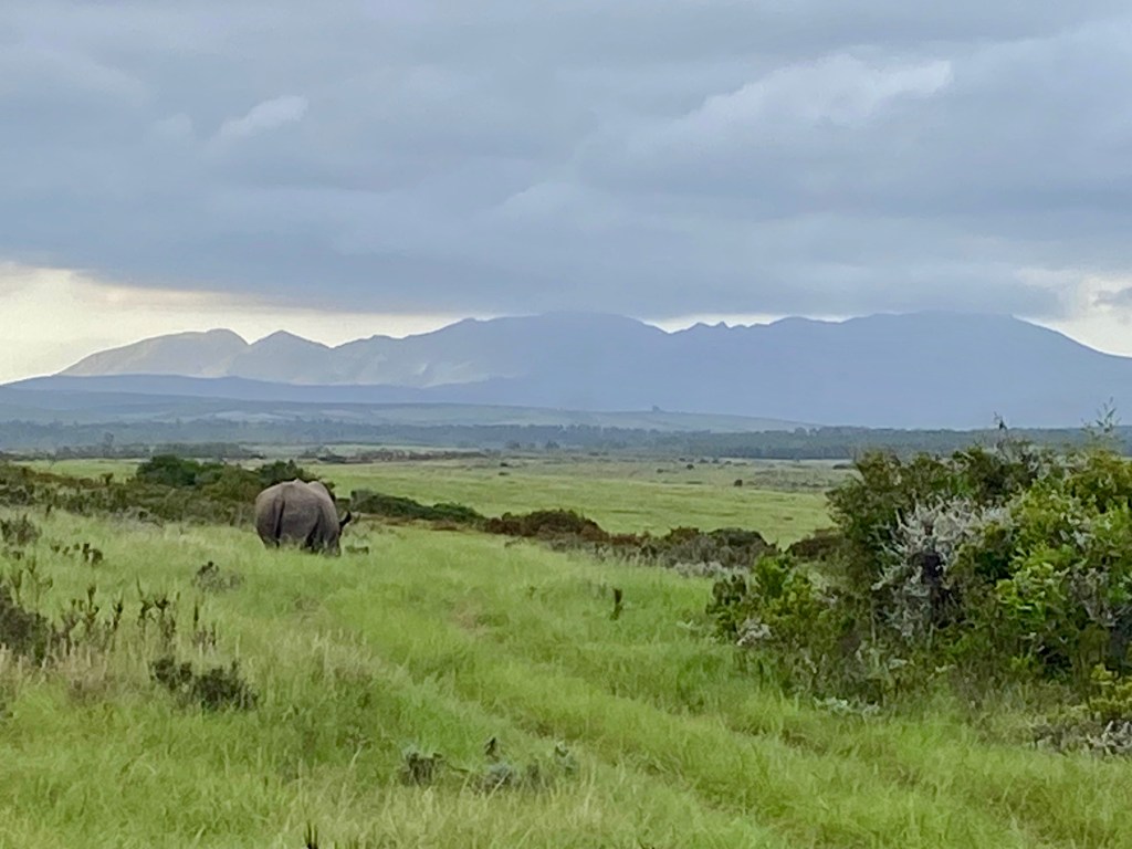 One of the Best Western Cape Game&nbsp;Reserves