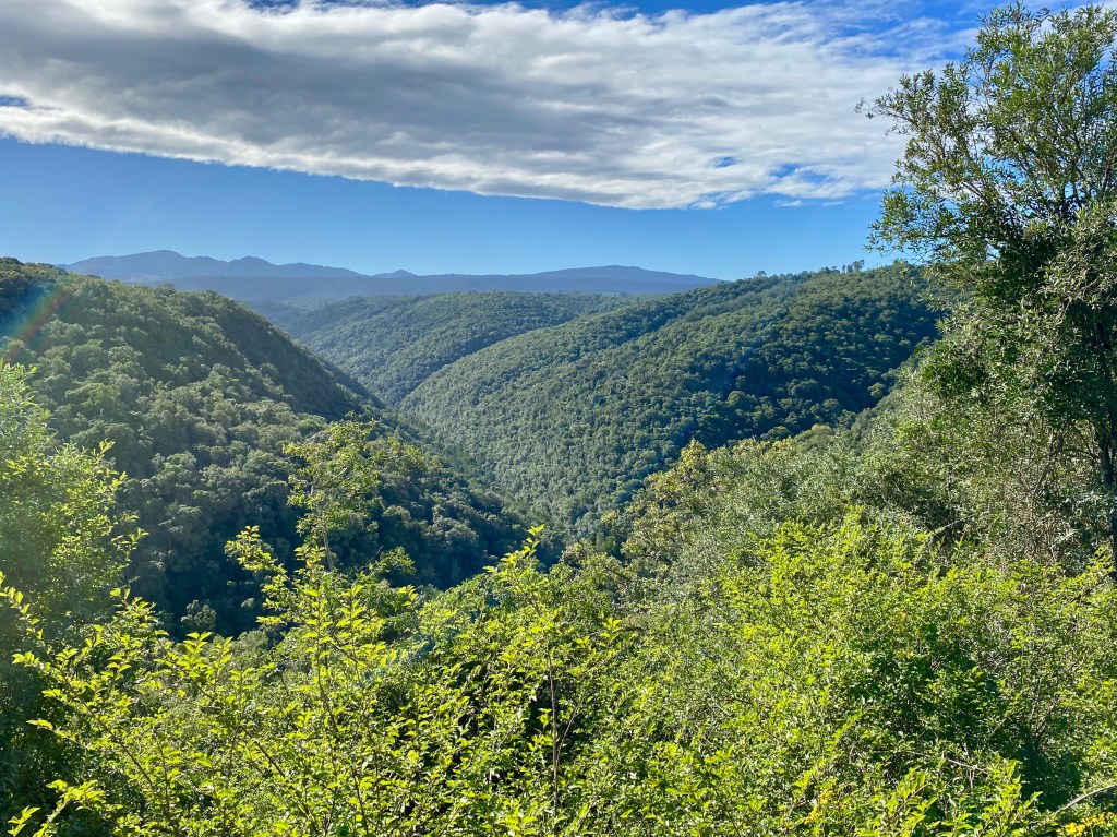 The deep gorge at Homtini Pass on Seven Passes Road in the Garden Route