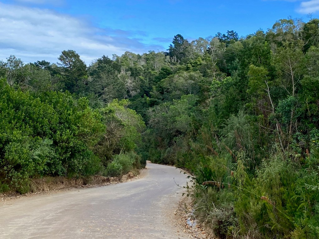 Seven Passes Road is partly gravel and partially tar