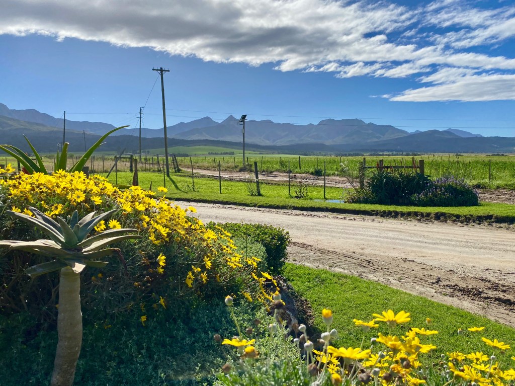 Farmland and mountain views on Seven Passes Road in the Garden Route