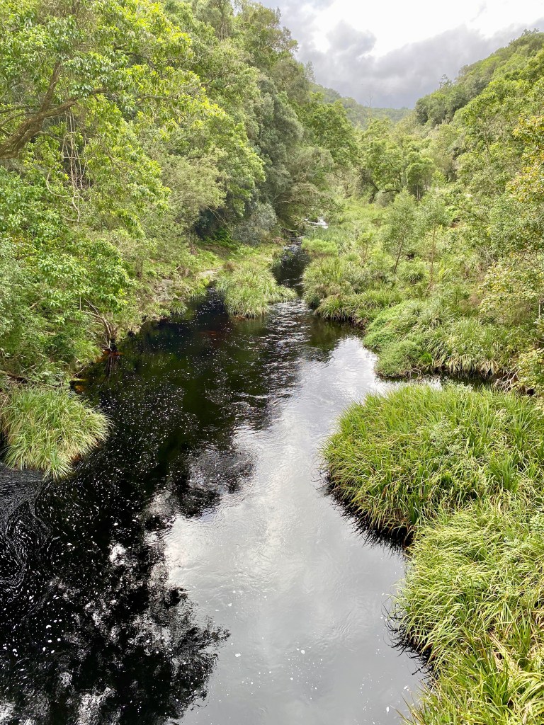Seven Gorges and rivers found on Seven Passes Road in the Garden Route