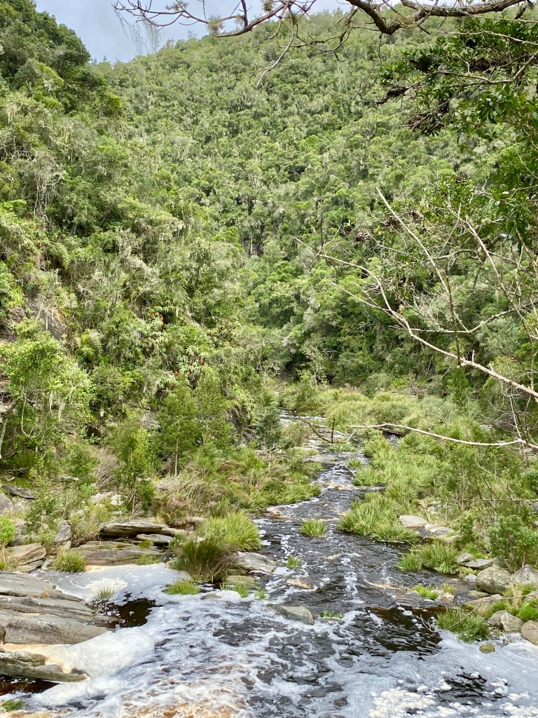 Kaaimans River on the Seven Passes Road in the Garden Route