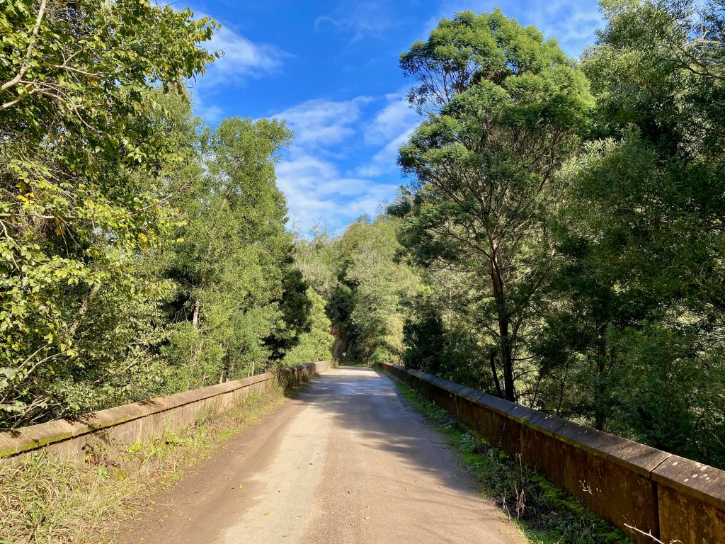 One of the bridges on Seven Passes Road in the Garden Route