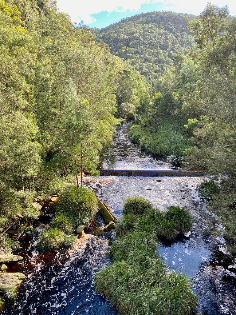 Beautiful views of the river at one of the passes on Seven Passes Road in the Garden Route