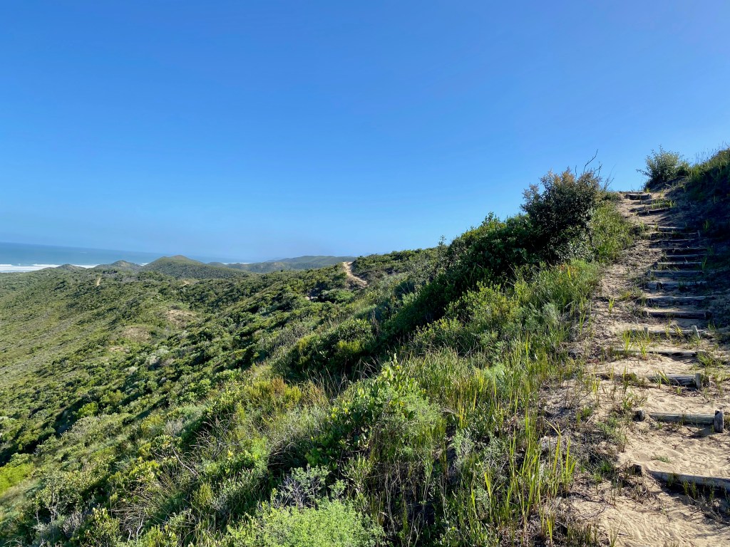 View of the ocean from the hiking trails at Goukamma Nature reserve