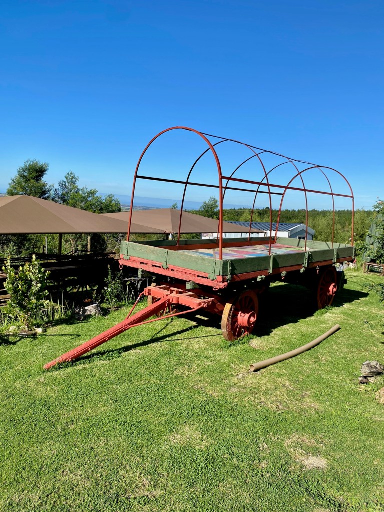 Ox-wagon at the Old Toll House on Montagu Pass outside George