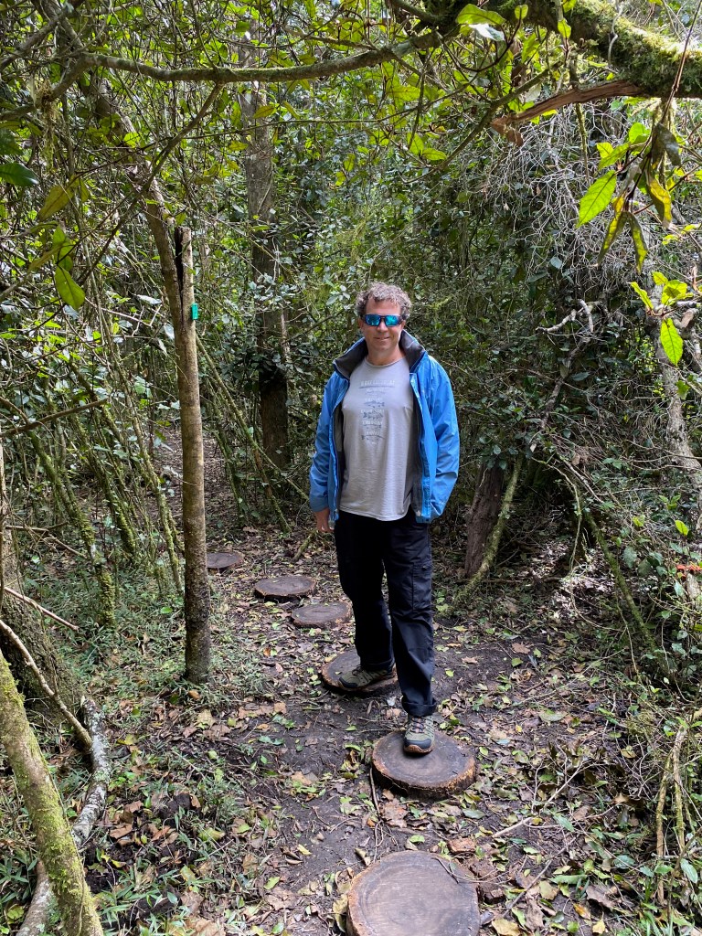 Bryan entering the Woodville Big tree trails