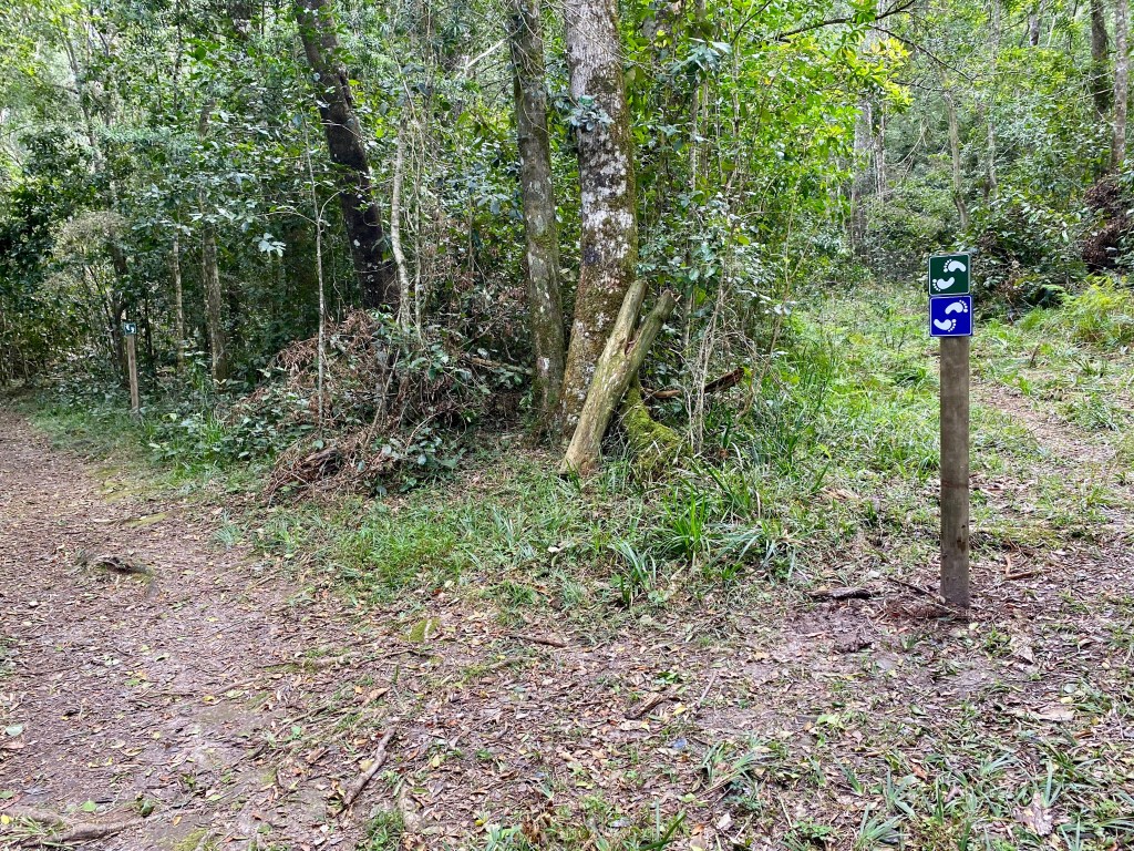 The toes point out which way the trails continues