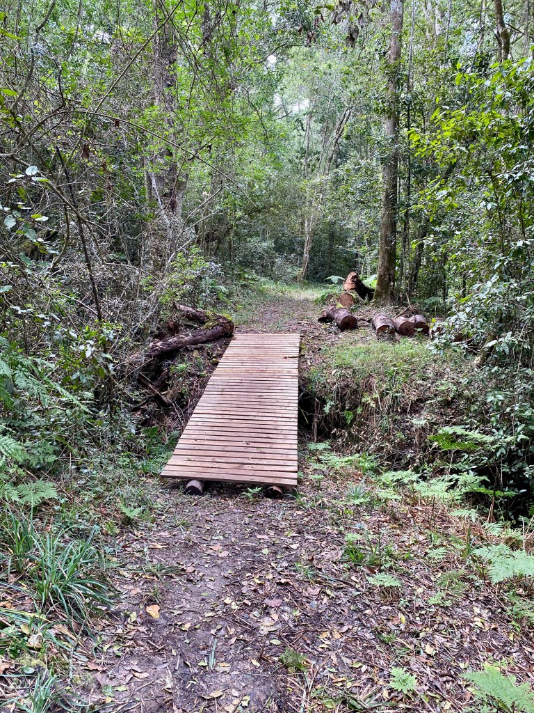 The forest trail crosses a coupe of wooden bridges