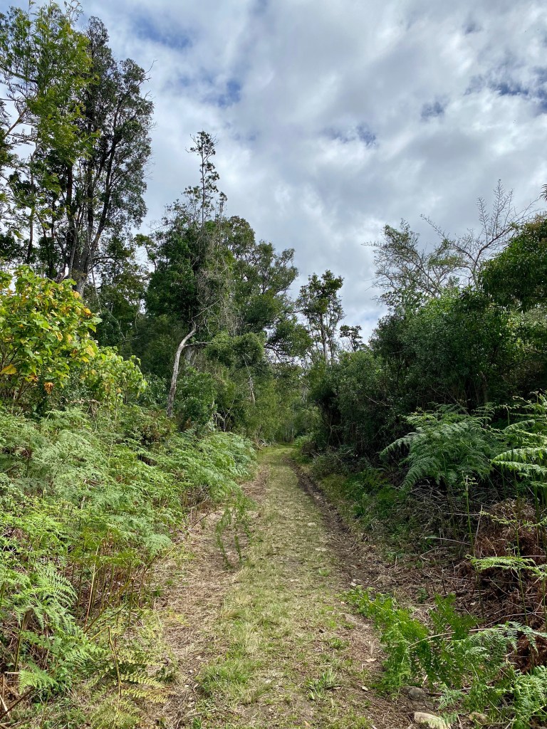 Part of the hiking trail is along a jeep track