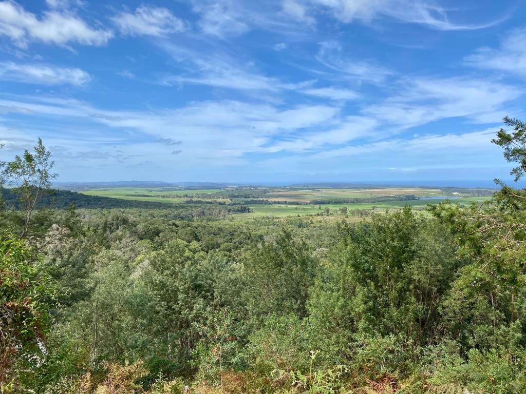 Hoekwil farmland as seen from the Woodville Big tree 7km hiking trail