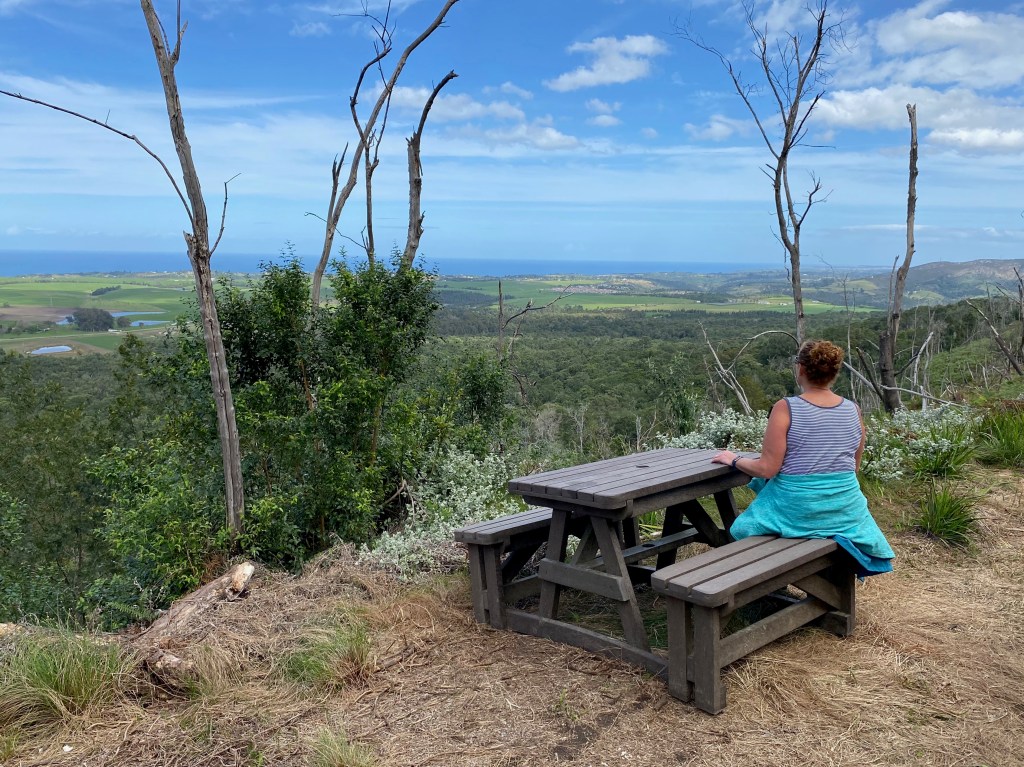 Picnic tables placed on the 7ms hiking trail at Woodville Big Tree