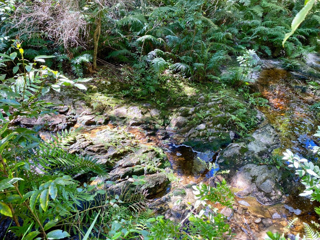 A small river, waterfall and rock pool on the Perdekop Trail
