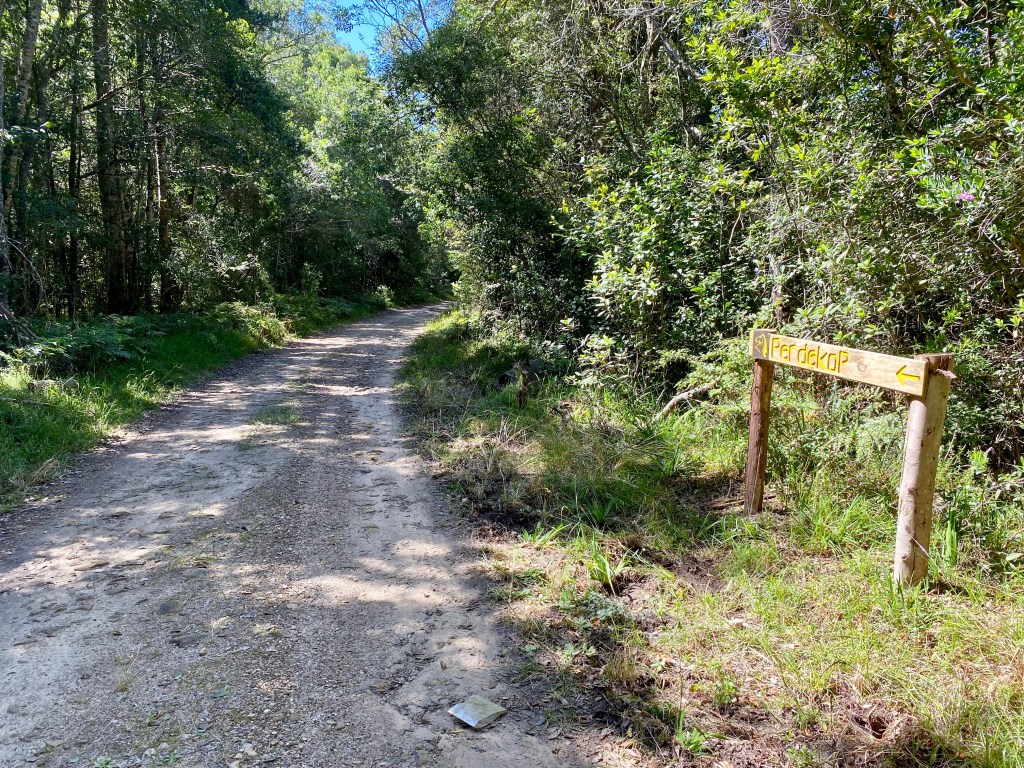 Just after the 6km mark the Perdekop Trail joins a jeep track