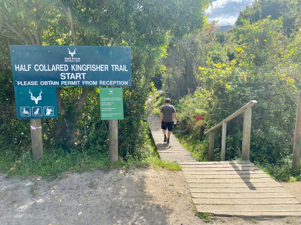 Start of the Half Collared Kingfisher Trail in Wilderness