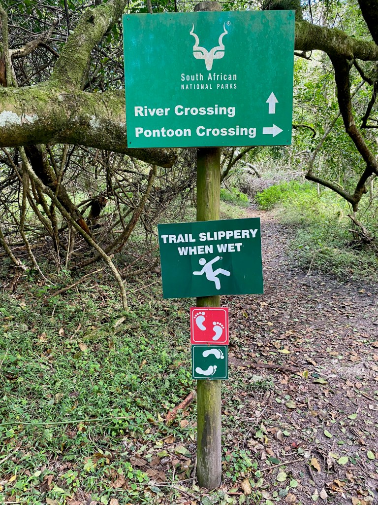 Half-Collared Kingfisher Trail has two route options to chose from