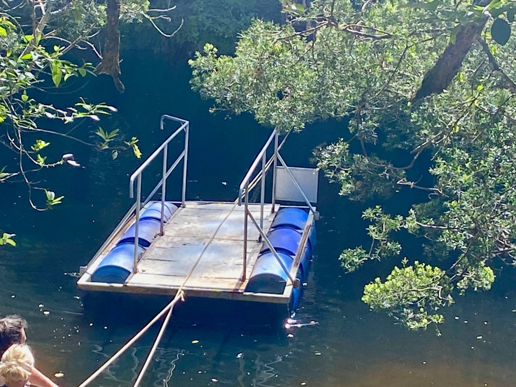 The Pontoon Crossing on the Half-Collared Kingfisher Trail in Wilderness