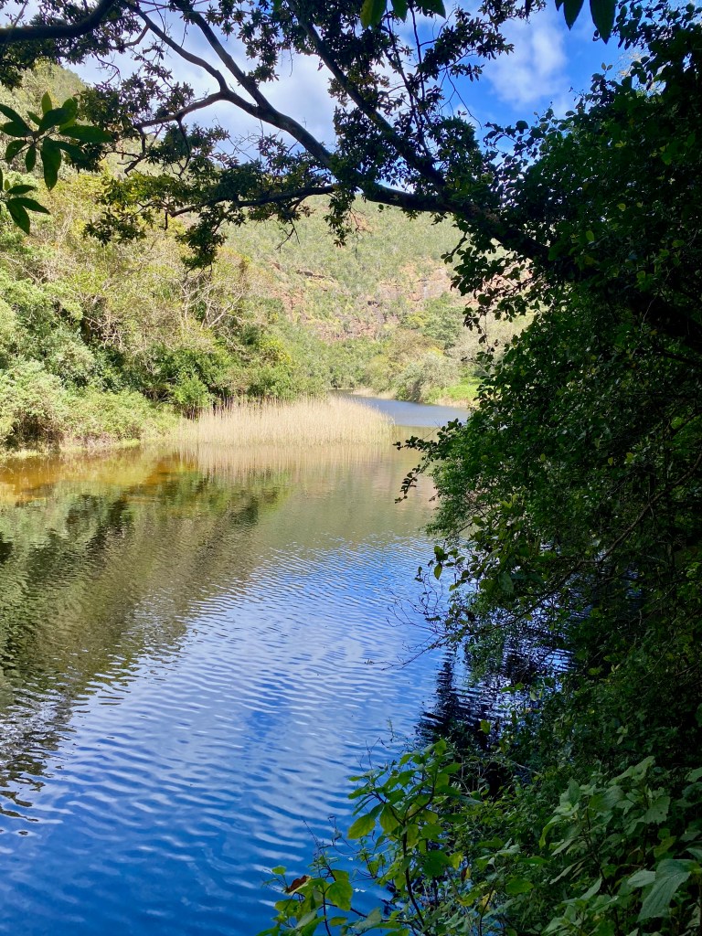 Stunning view of the Touw River in Wilderness