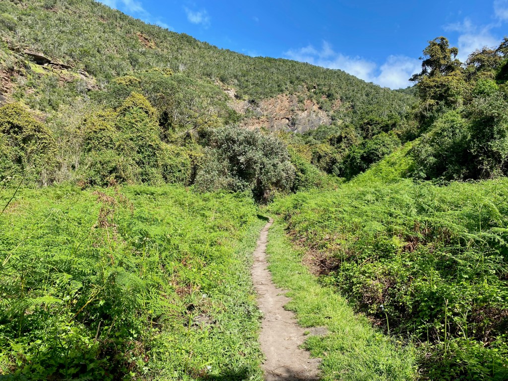 Varied route of the Half-Collard Kingfisher Trail in Wilderness