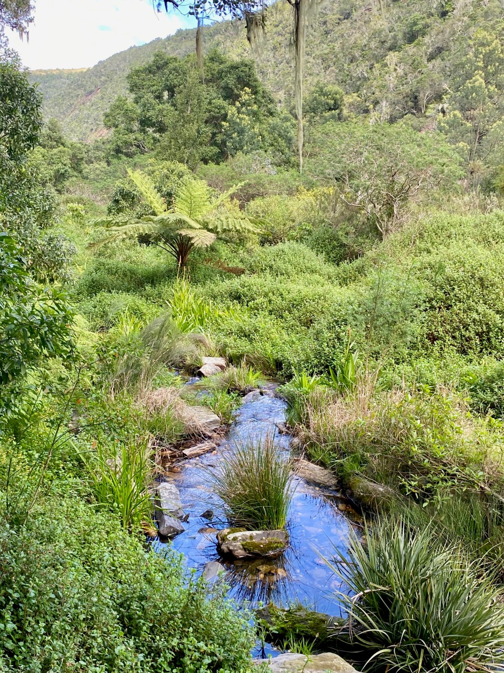 Half-Collared Kingfisher Hiking&nbsp;Trail
