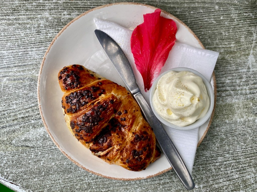 Great coffee and delicious sweet treats at the Green Shed in Wilderness