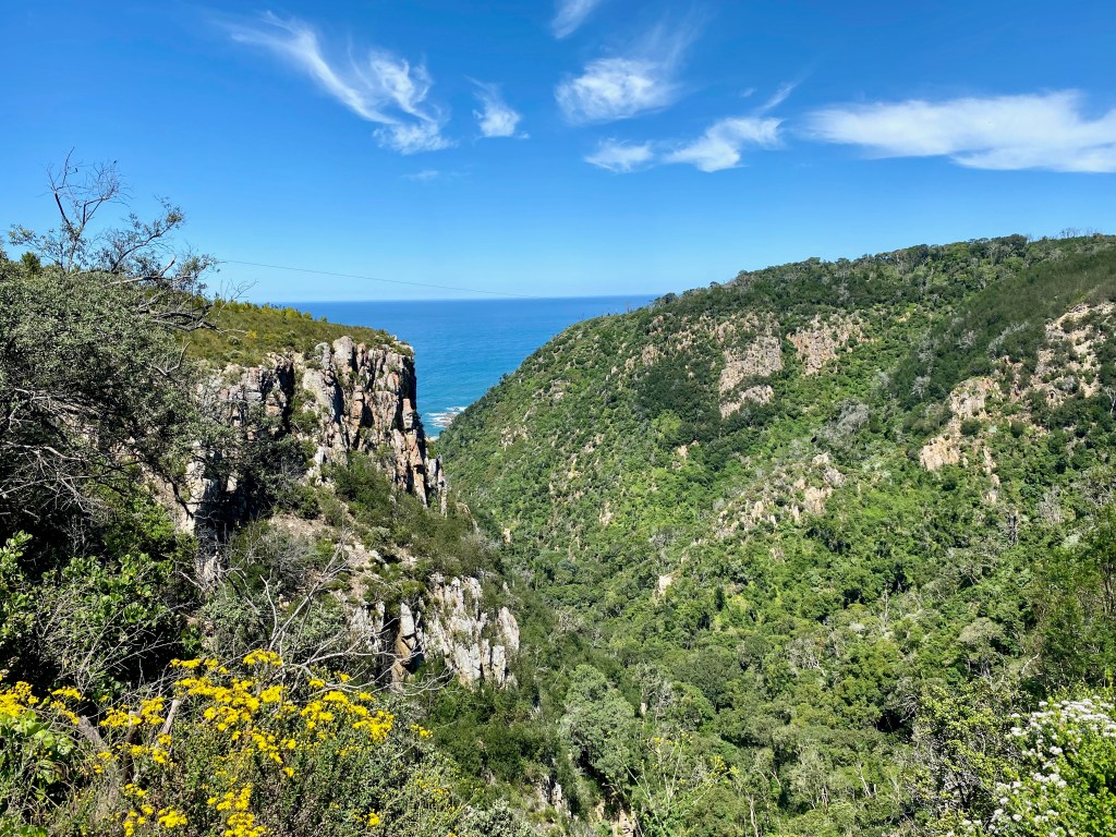 View from where they prepare you for the Ziplines