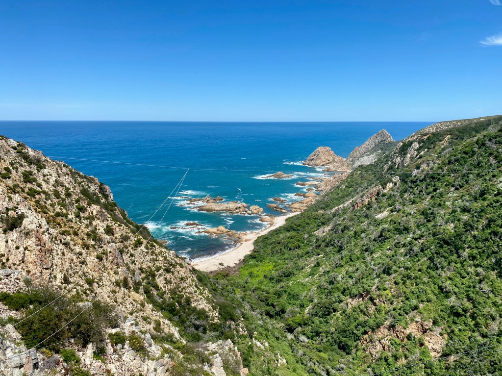 Adventure activity with Knysna&nbsp;ziplines