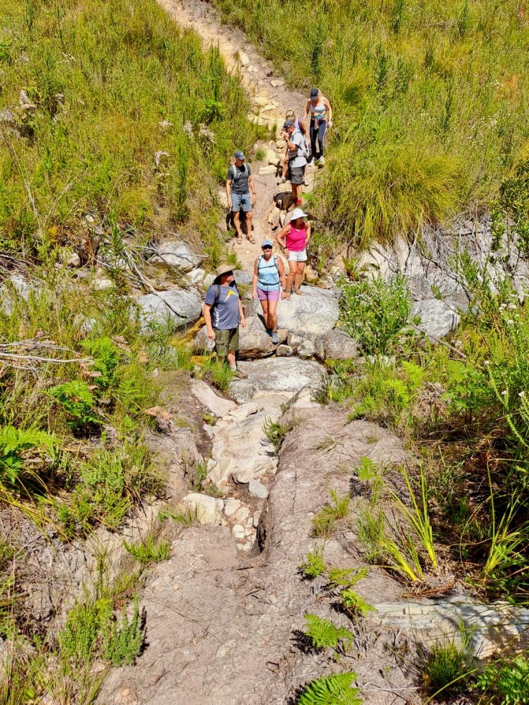 The steep part of the Herold's Wine Trail