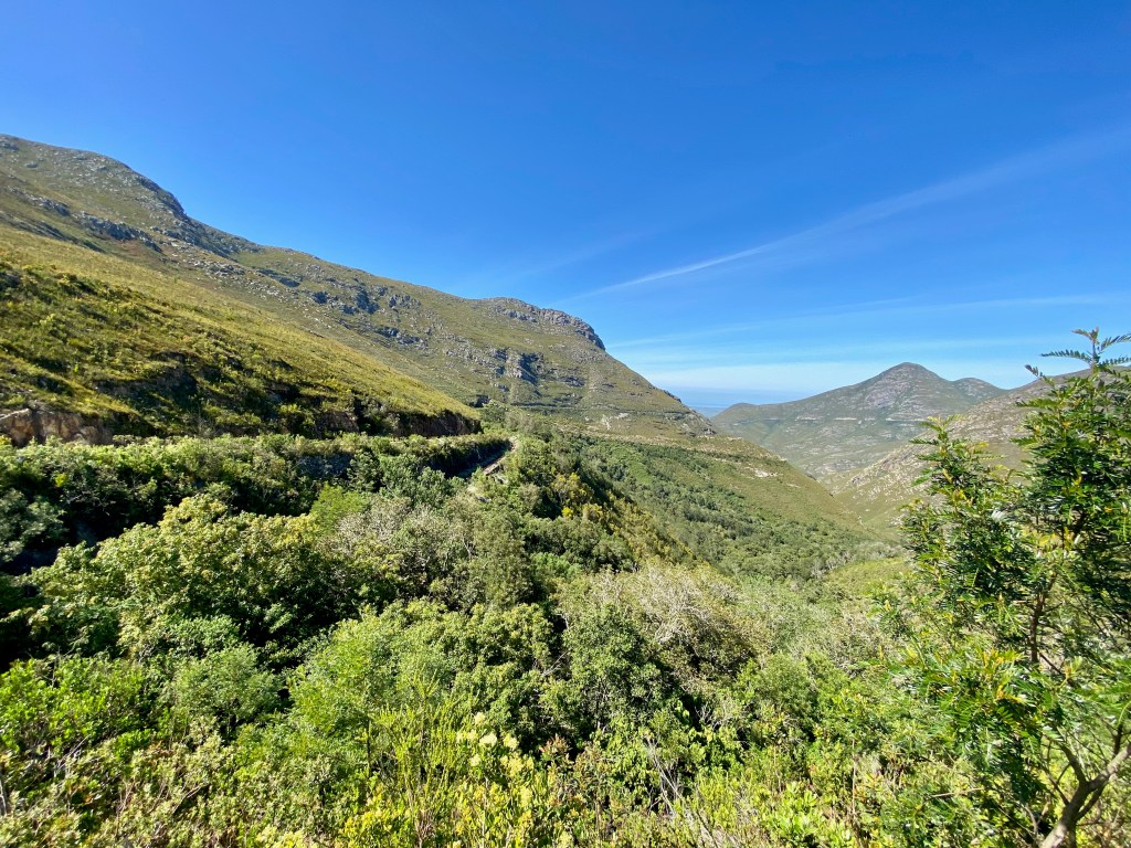 Incredible scenery all around on the Herold's Wine Trail