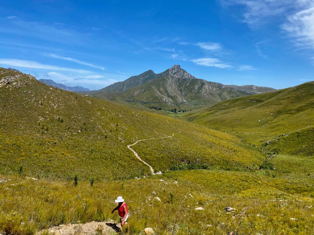 The Herold's Wine Trail in the Outeniqua Mountains