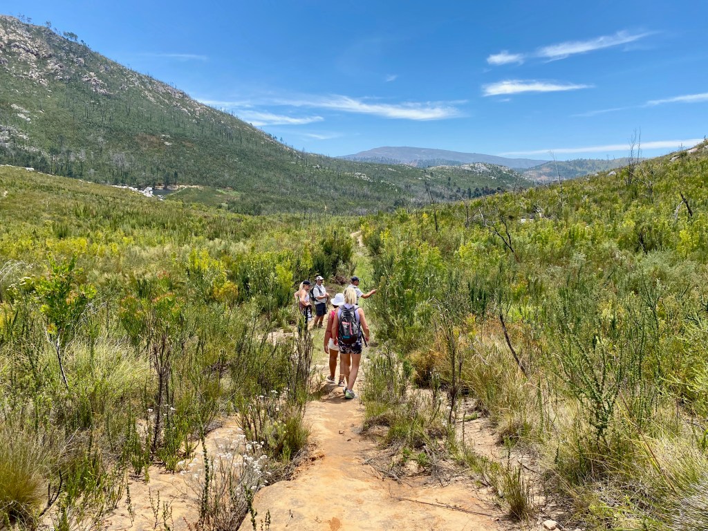 the lower section of the trail