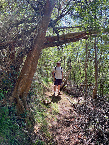 Bryan on the forest pathway in the Garden Route National Park