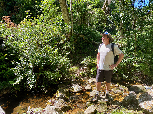 Beautiful forest in the Garden Route National Park