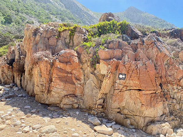 Follow the footprints on the Kranshoek Coastal Trail