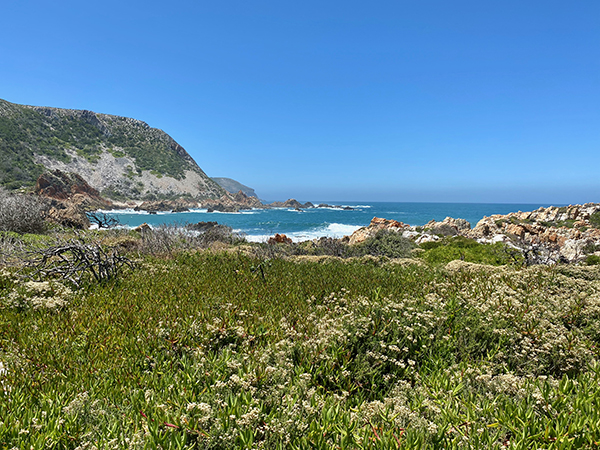 Spectacular Garden Route coast line