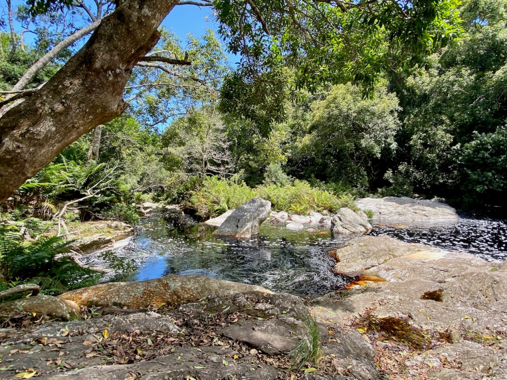 Shady spot at Pepsi Pools in George