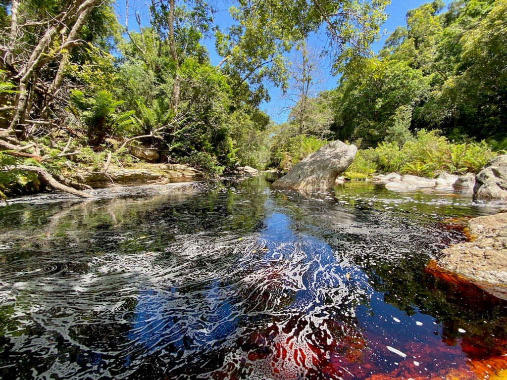 Pepsi Pools water in George