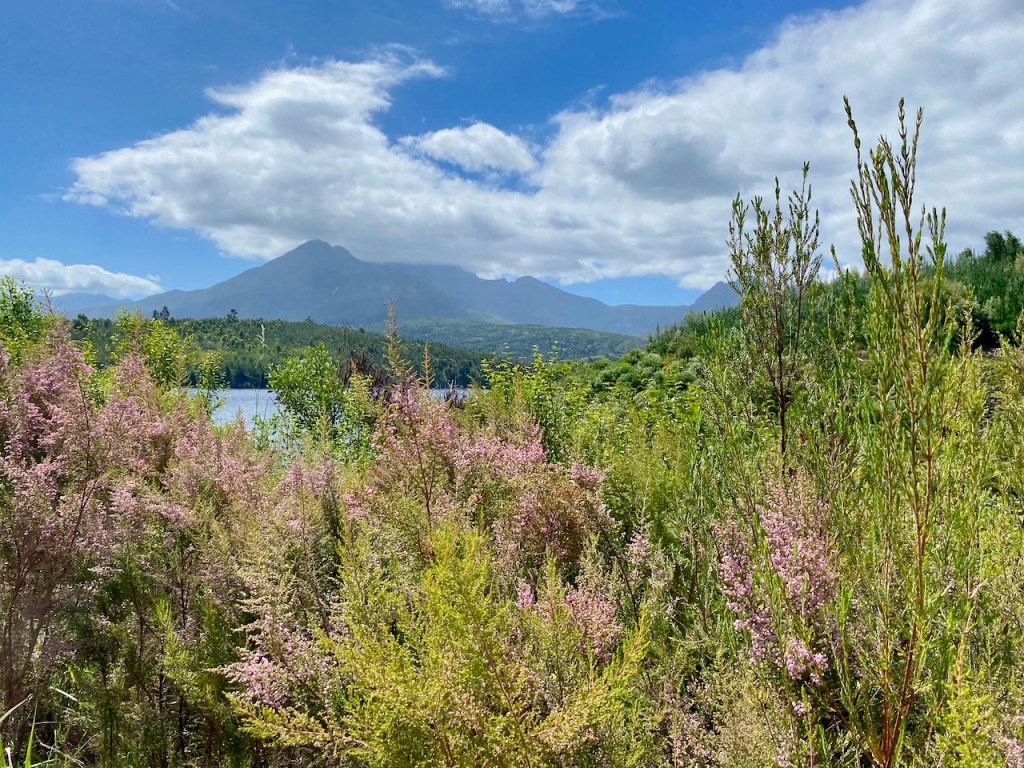 Garden Route Dam hiking in George