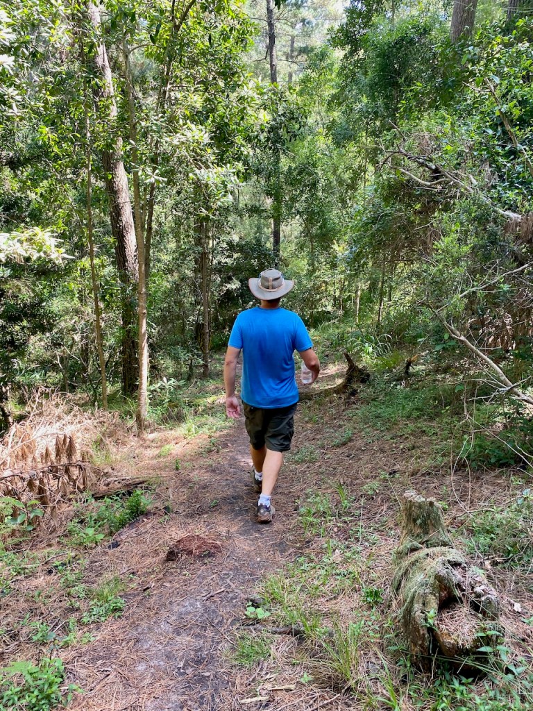 Forest pathway at the start of the Tierkloofpad trail