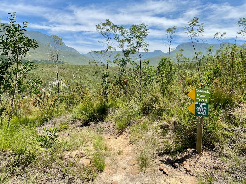 Craddock Pass and Craddock Peak hiking trails