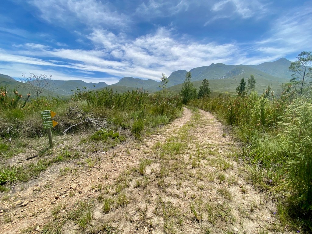 Craddock Peak and Tierkloofpad hiking trail in Outeniqua Nature Reserve